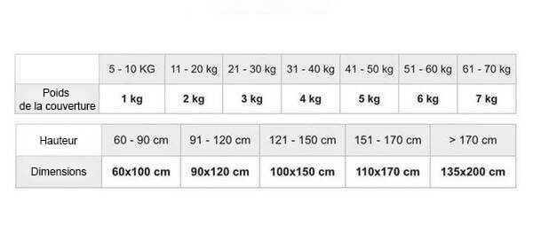 Brentfords Couverture lestée de 6 kg pour adultes et enfants,  simple/double, grise, 125 x 180 cm, 6 kg (13 livres) : : Jeux et  Jouets