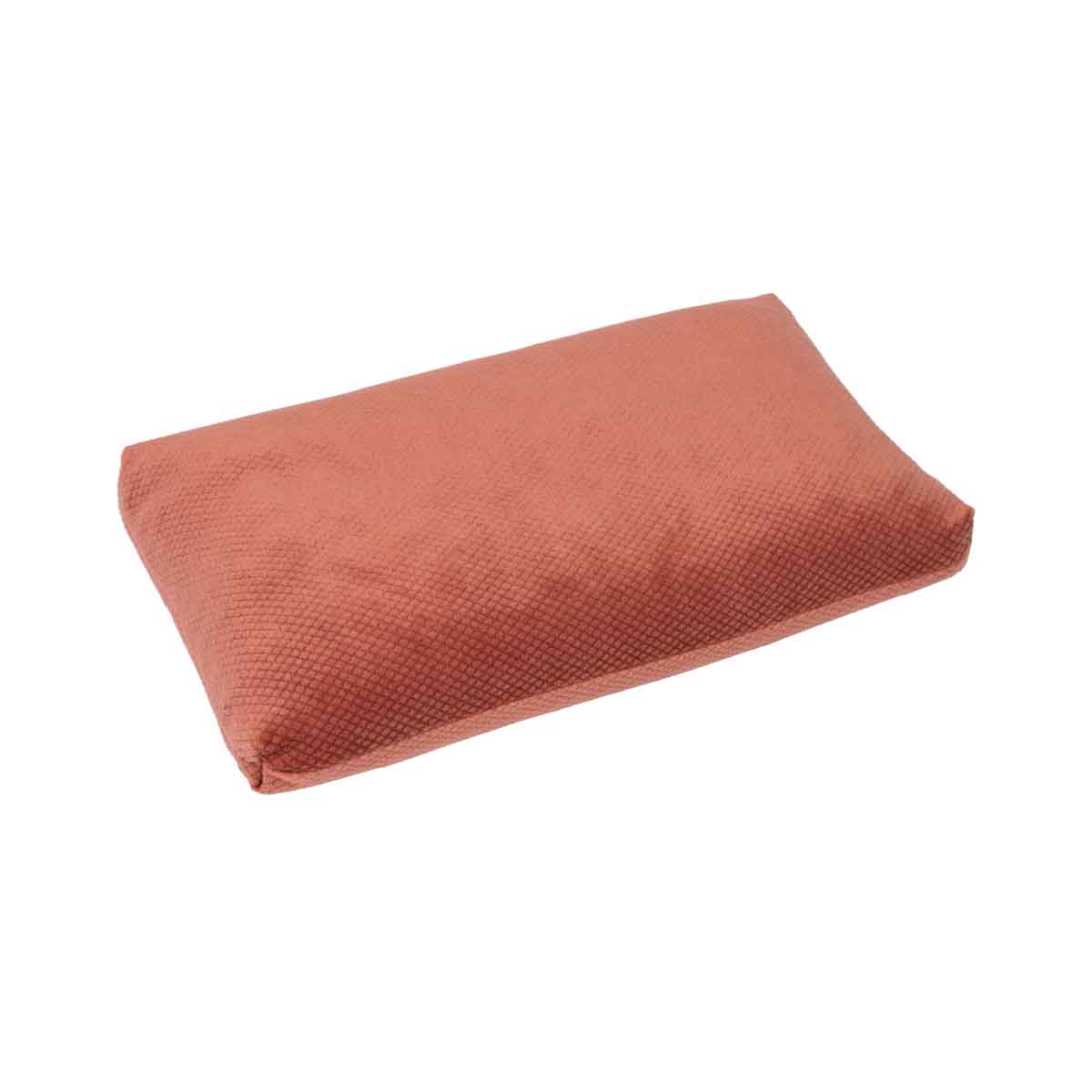 La bouillotte avec de sarrasin ginger spice