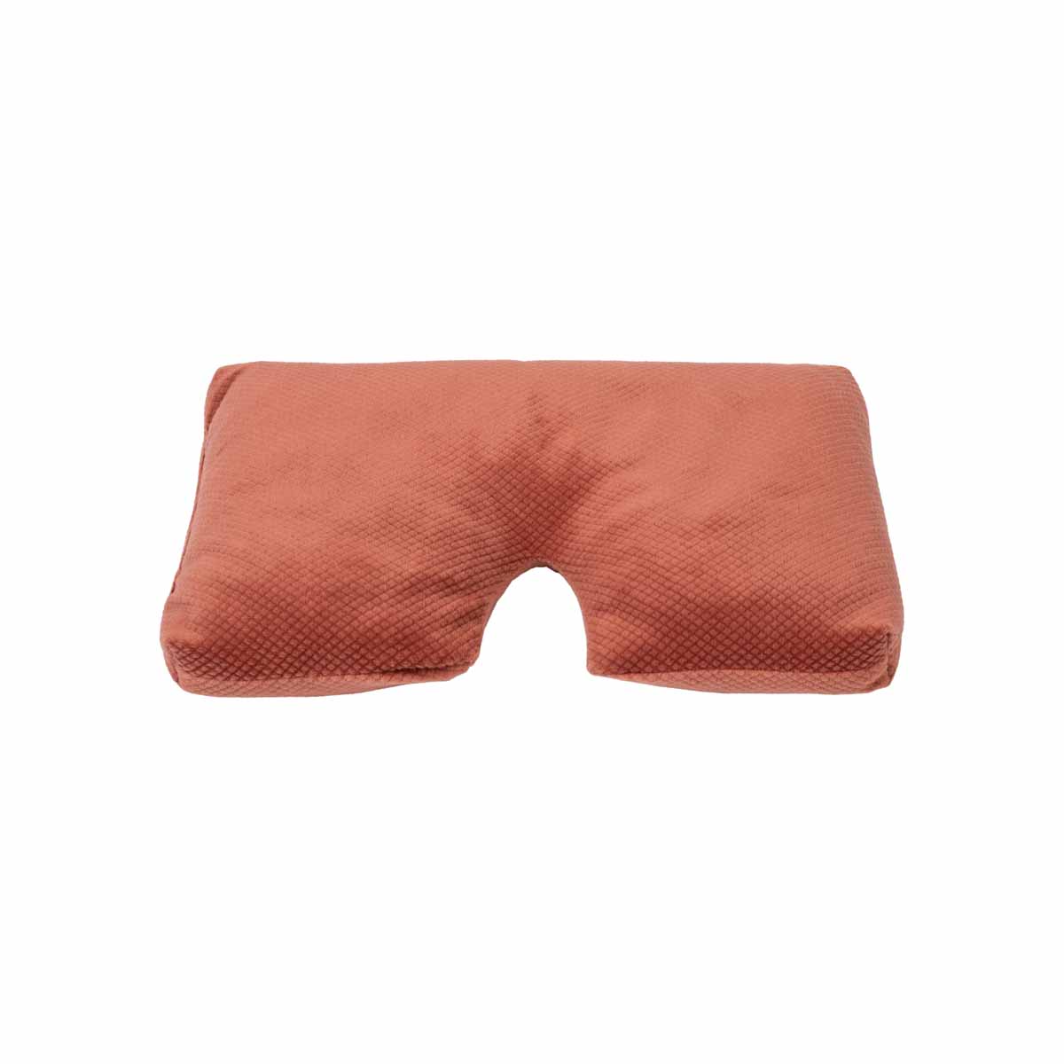 Le bandeau avec du sarrasin ginger spice
